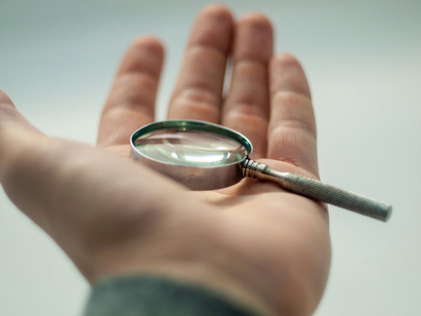 Estimation à la loupe par un expert